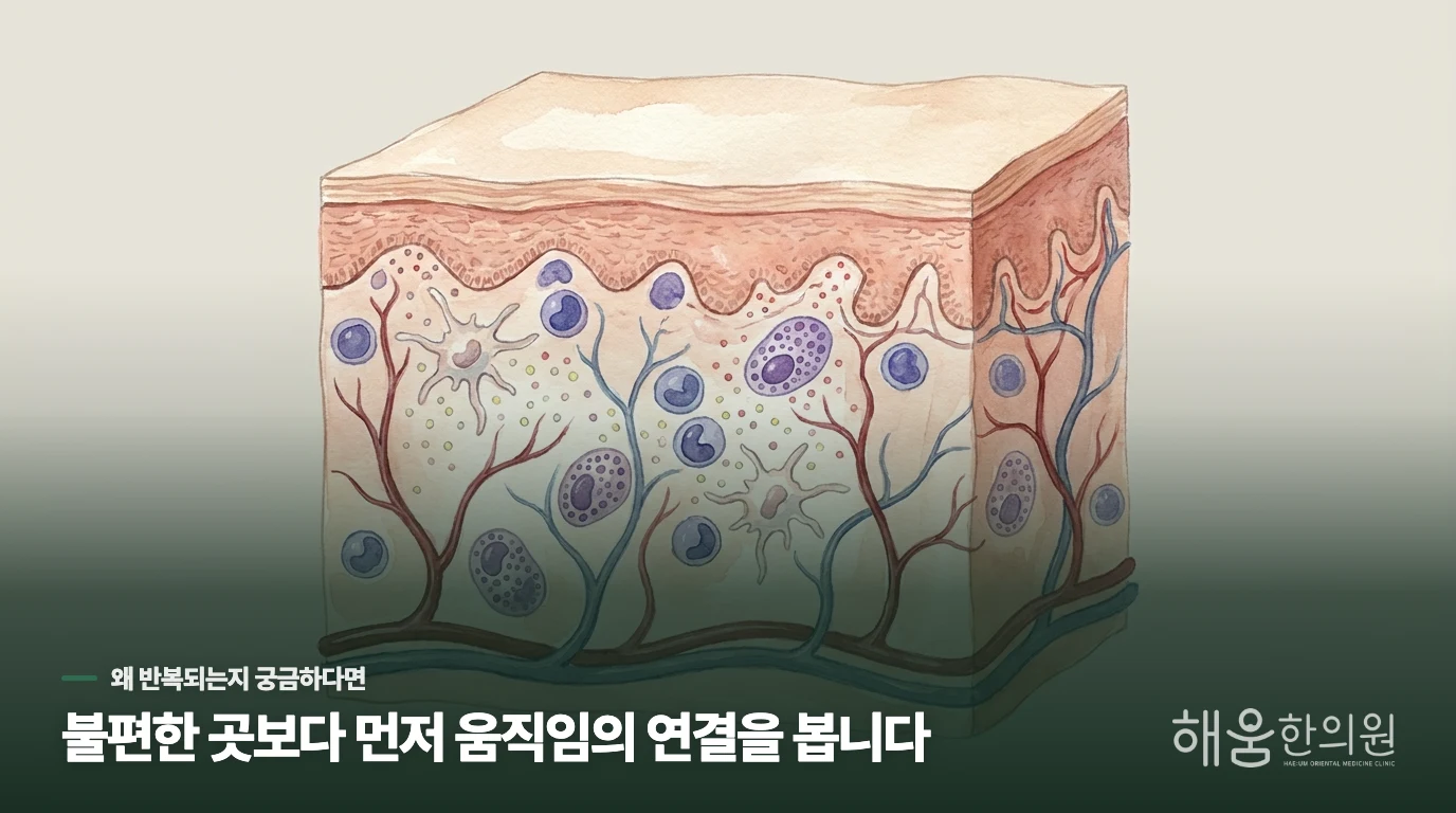 두피가 붉고 가려운 진짜 이유는 무엇일까요.