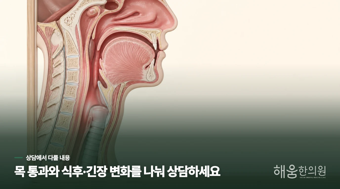 반복되는 목이물감은 목·소화·긴장 맥락을 엮어 상담합니다