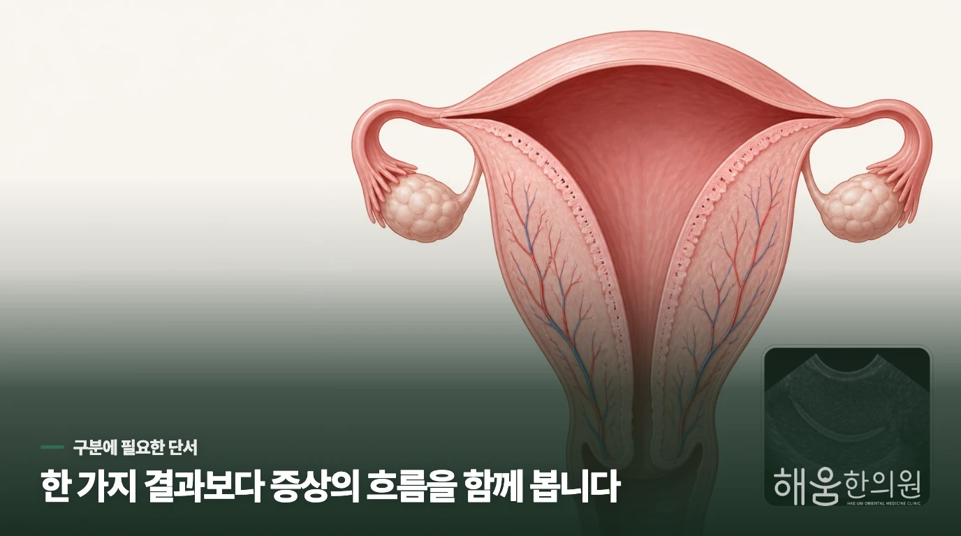 생리가 늦어진 날, 남은 한약부터 마저 먹지는 마세요