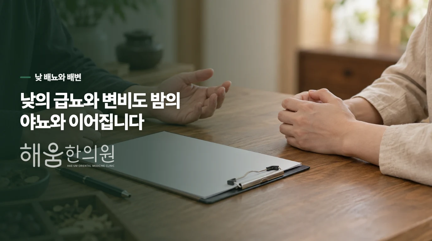 낮 소변과 변비가 밤의 실수와 이어질 수 있습니다