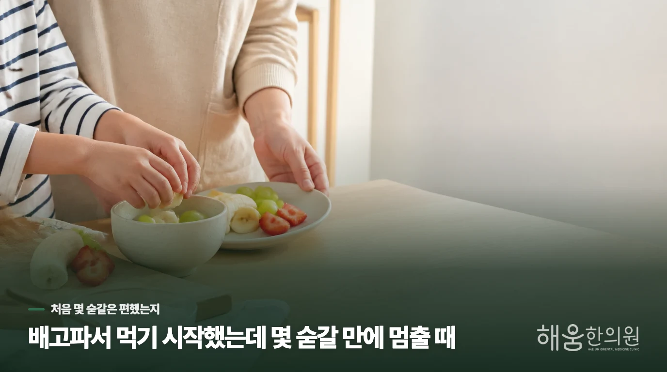 배고파서 먹기 시작했는데 몇 숟갈 만에 멈출 때