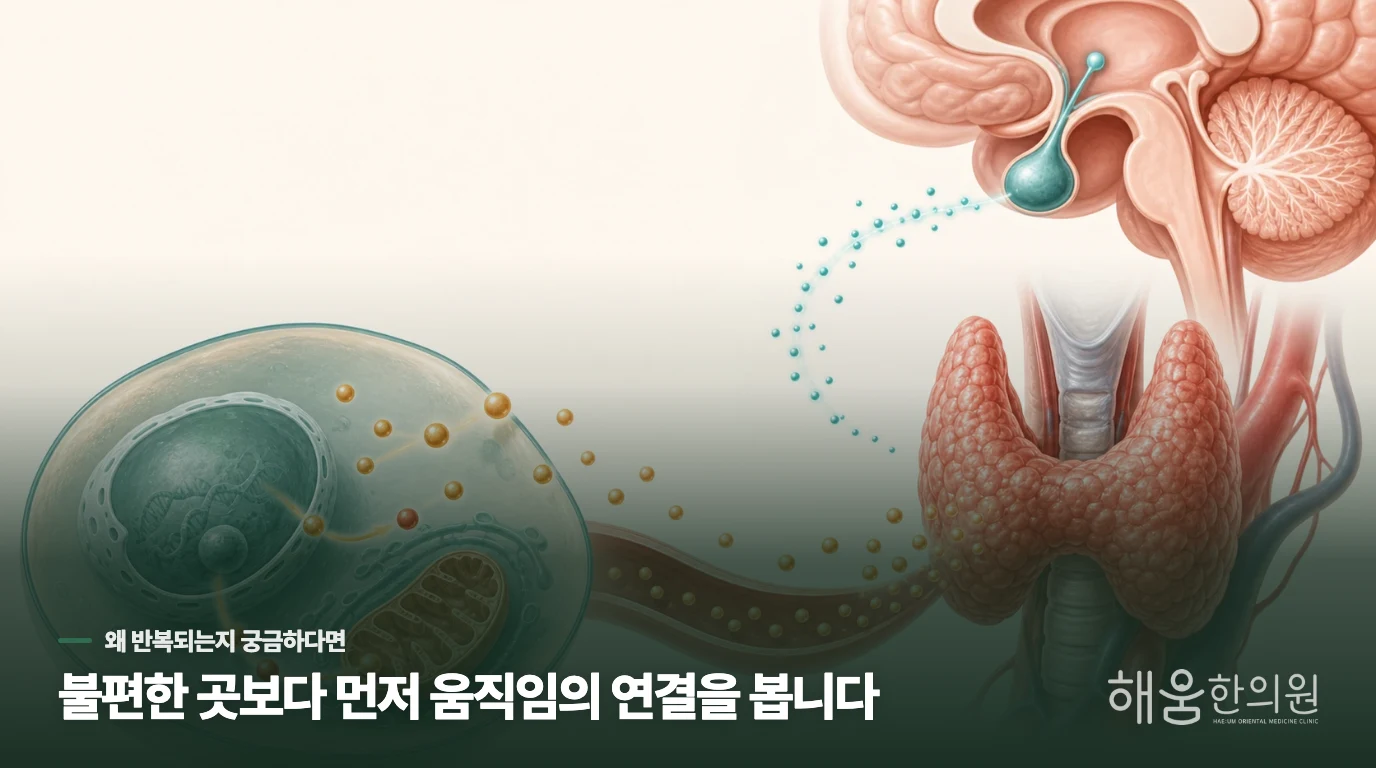 오후 손떨림을 커피 탓으로만 넘기기 어려운 이유
