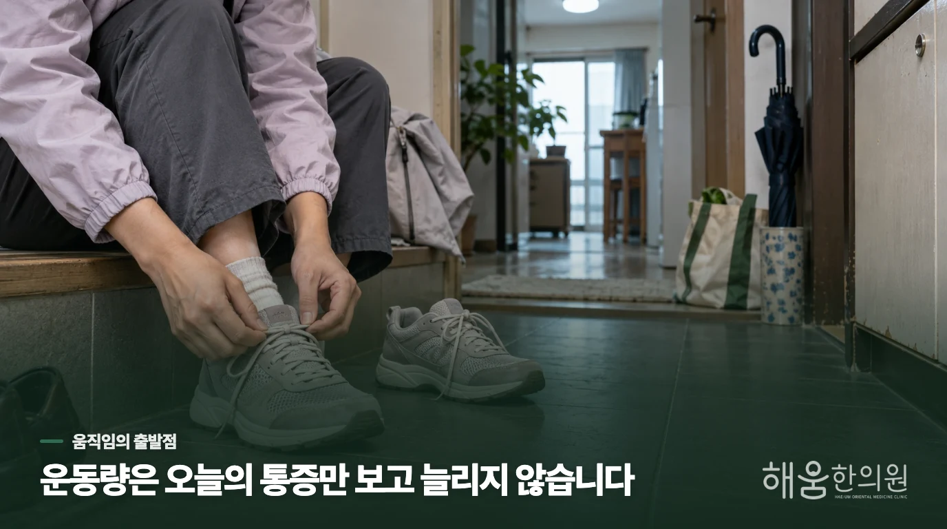운동량은 오늘의 통증만 보고 늘리지 않습니다