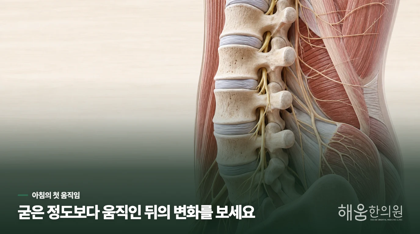 눈뜨자마자 허리가 굳는 이유는 움직임에서 드러납니다