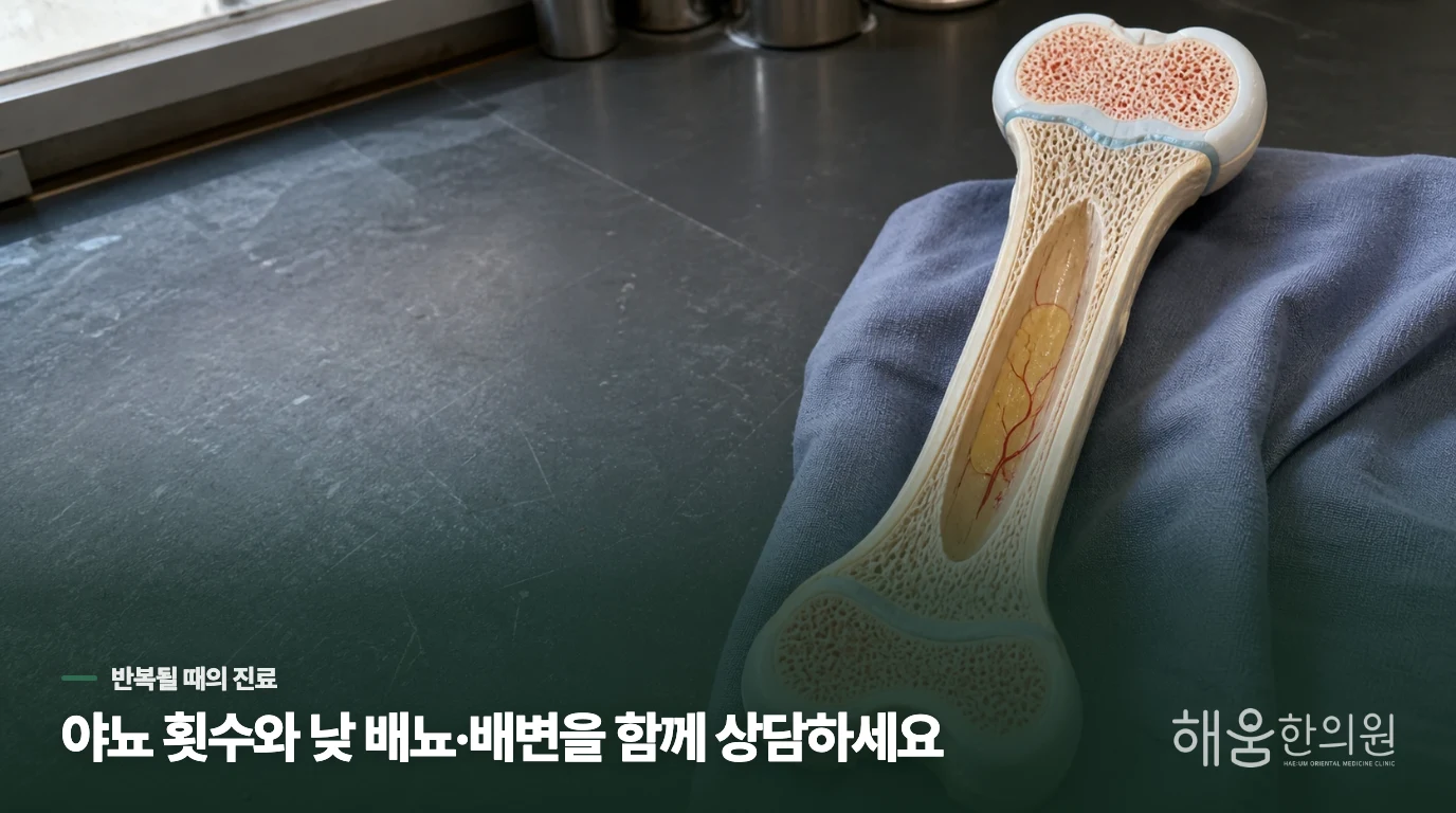 반복되는 야뇨는 진료에서 원인을 좁혀 봅니다
