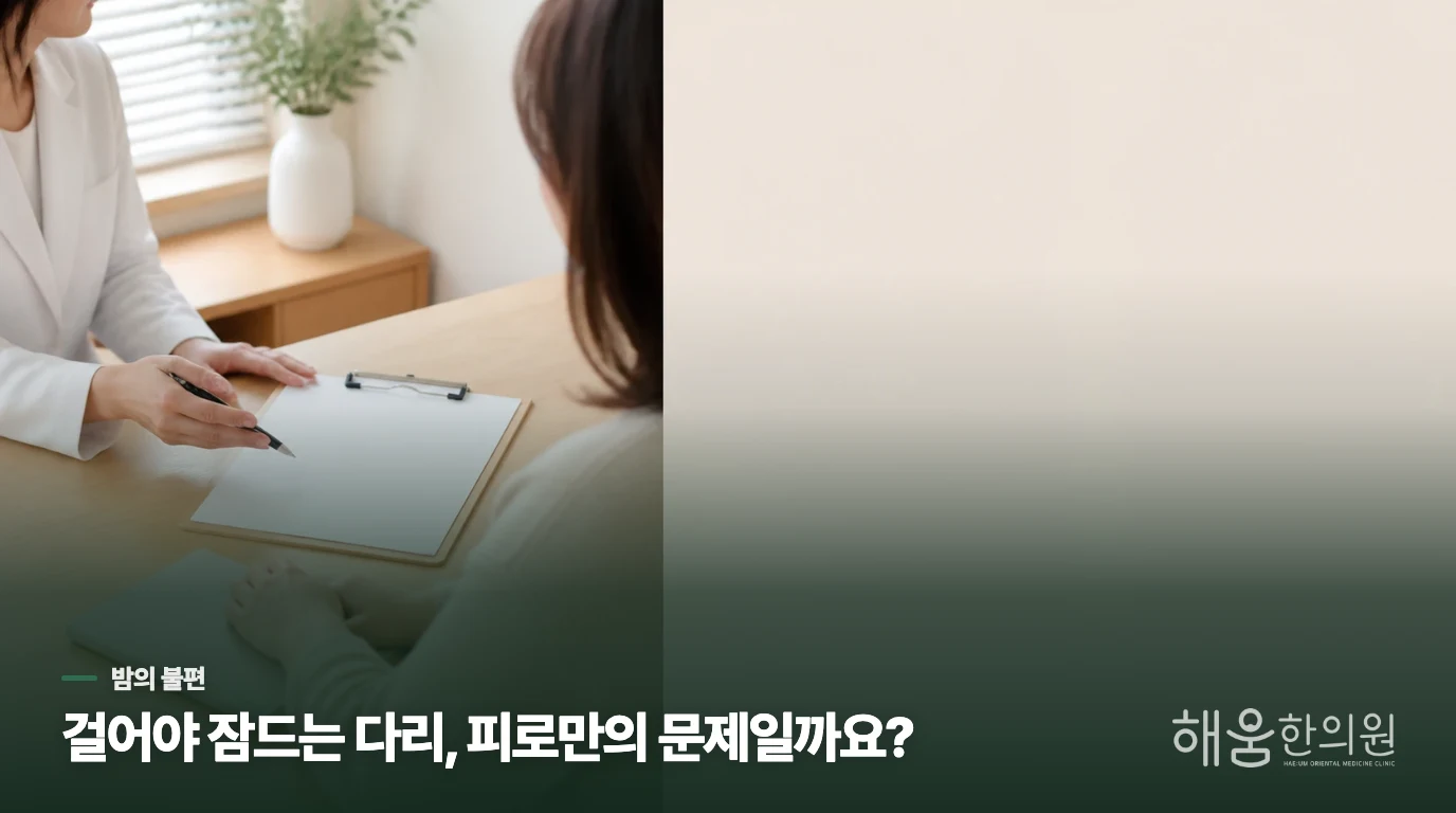 걷고 나면 가벼워지는 밤의 다리