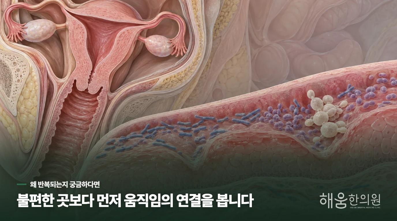 생리 뒤에 반복돼도 원인은 한 가지가 아닙니다