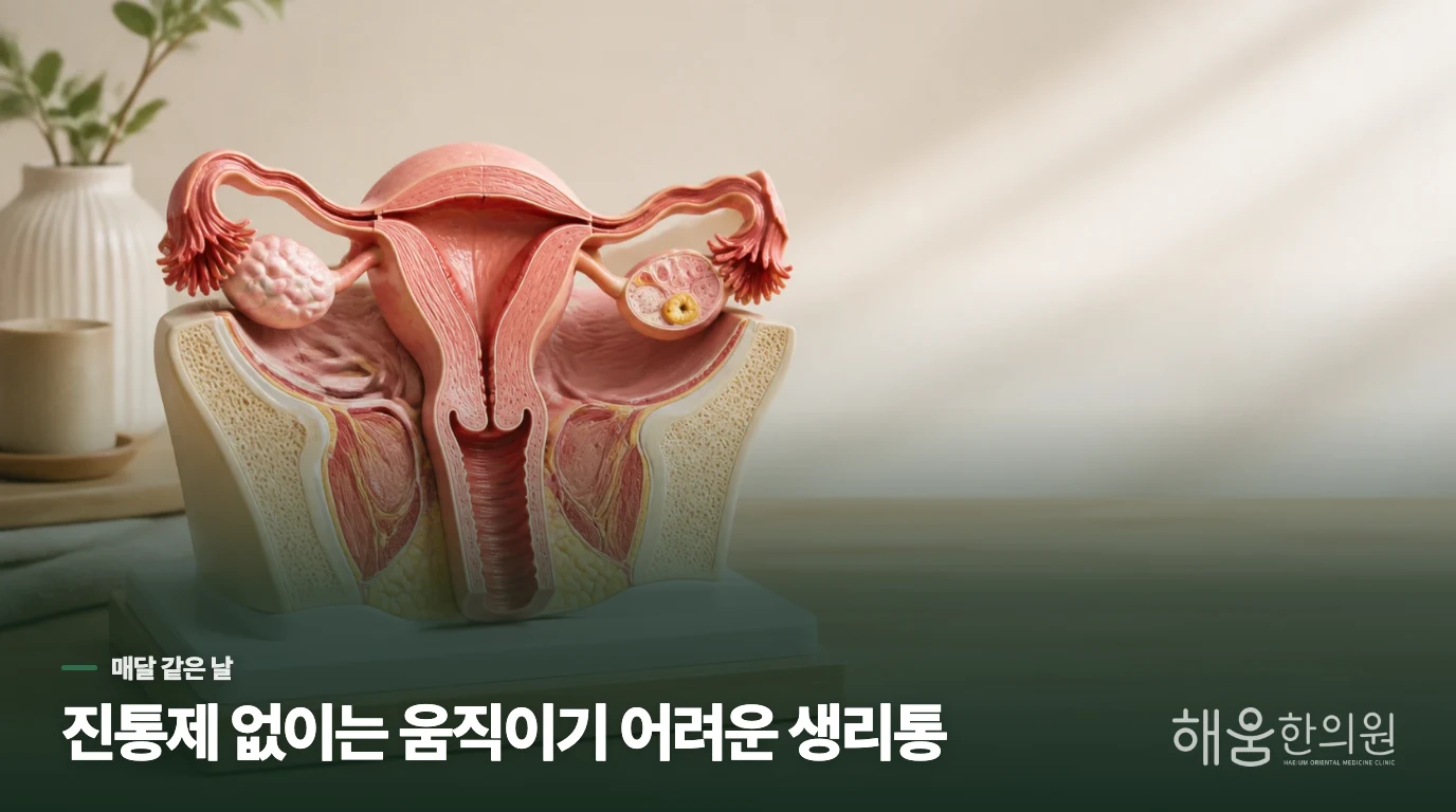 생리 첫날마다 진통제를 찾게 되는 이유