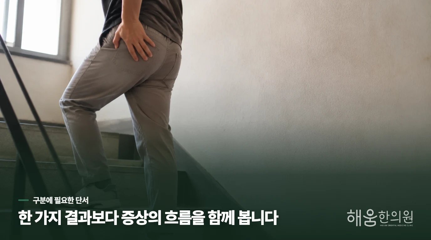 진료에서는 허리와 고관절을 나누어 봅니다