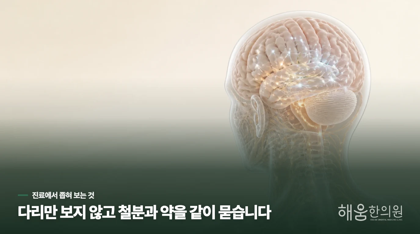 철분과 복용 약을 빼놓지 않는 이유