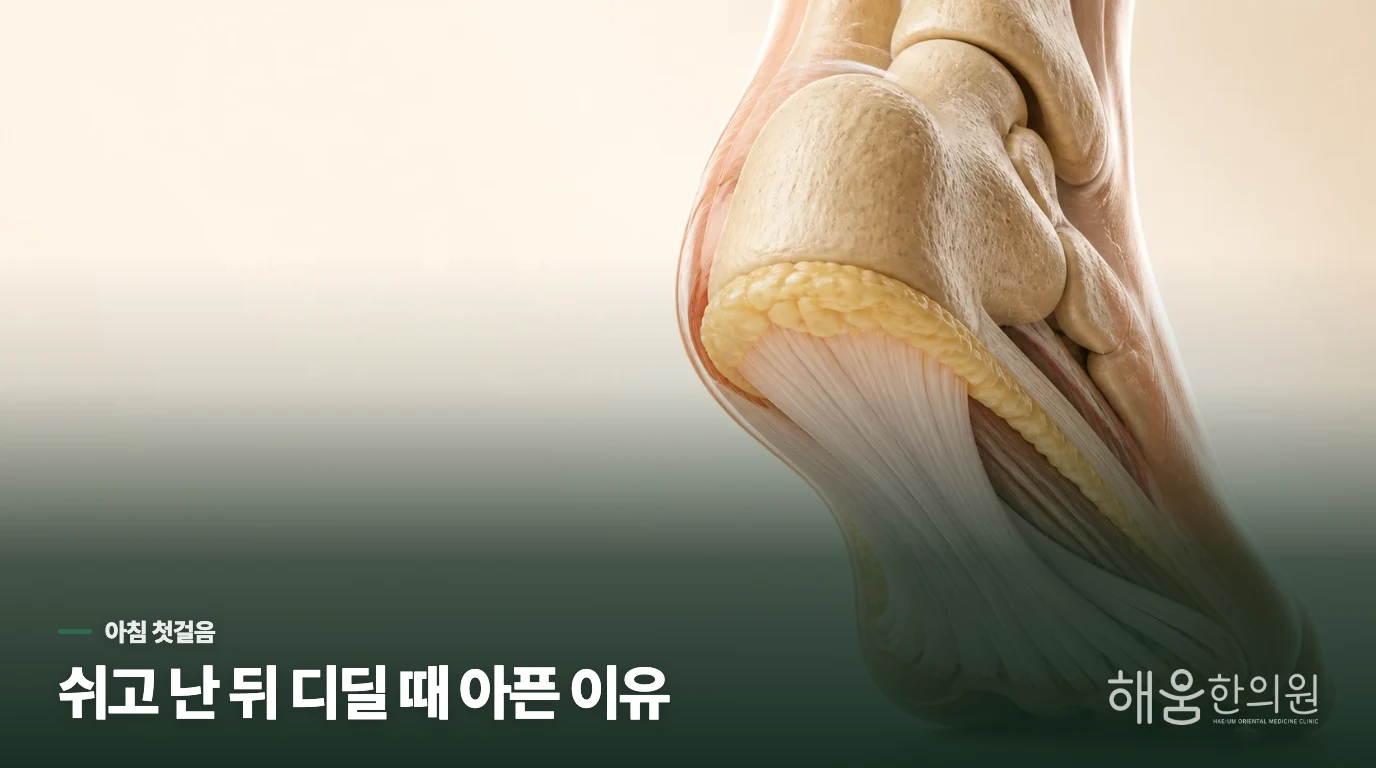 침대에서 내려오는 첫발이 유난히 아픈 까닭