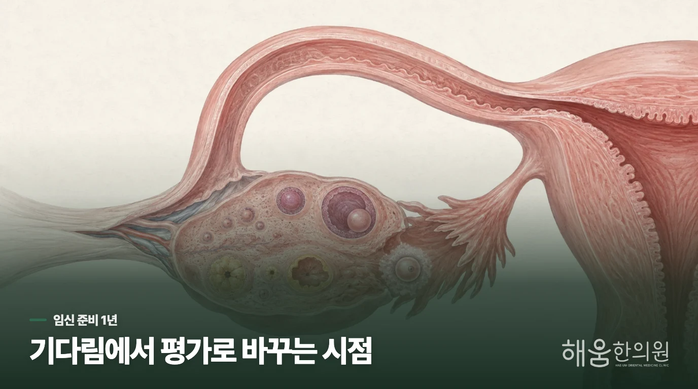 배란일을 맞췄는데 1년이 지나갔다면
