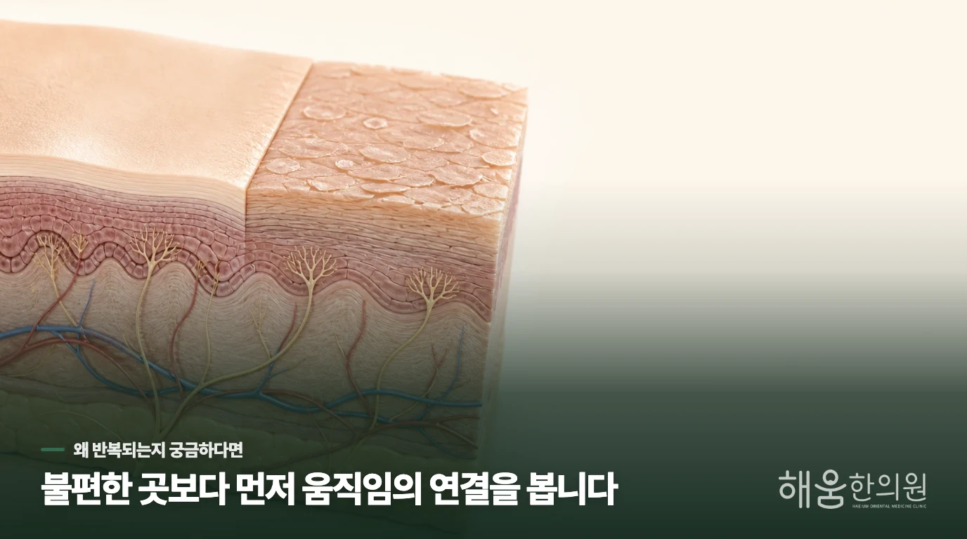 얼굴가려움증은 왜 환절기에 유독 심해지는 걸까요.