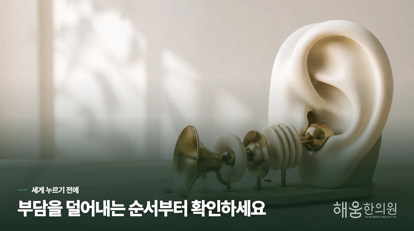한쪽 박동성 이명은 순서를 정하는 일이 답입니다