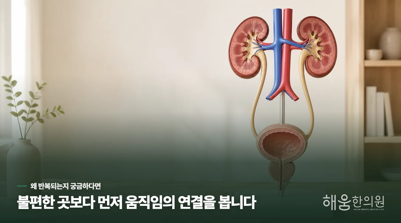 혈뇨와 발열이 섞이면 다른 원인을 살핍니다