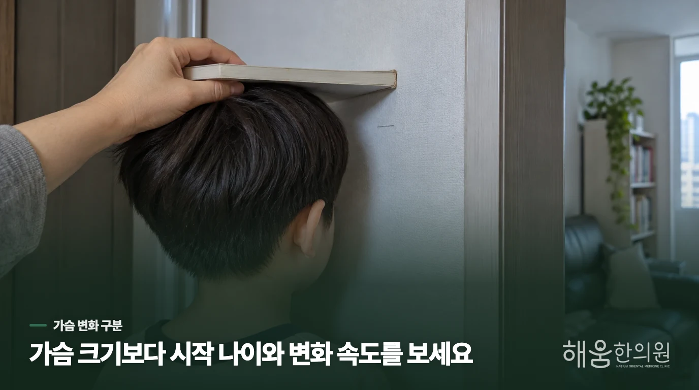 가슴이 도톰해졌을 때 살과 유선 발달을 어떻게 나눌까요?