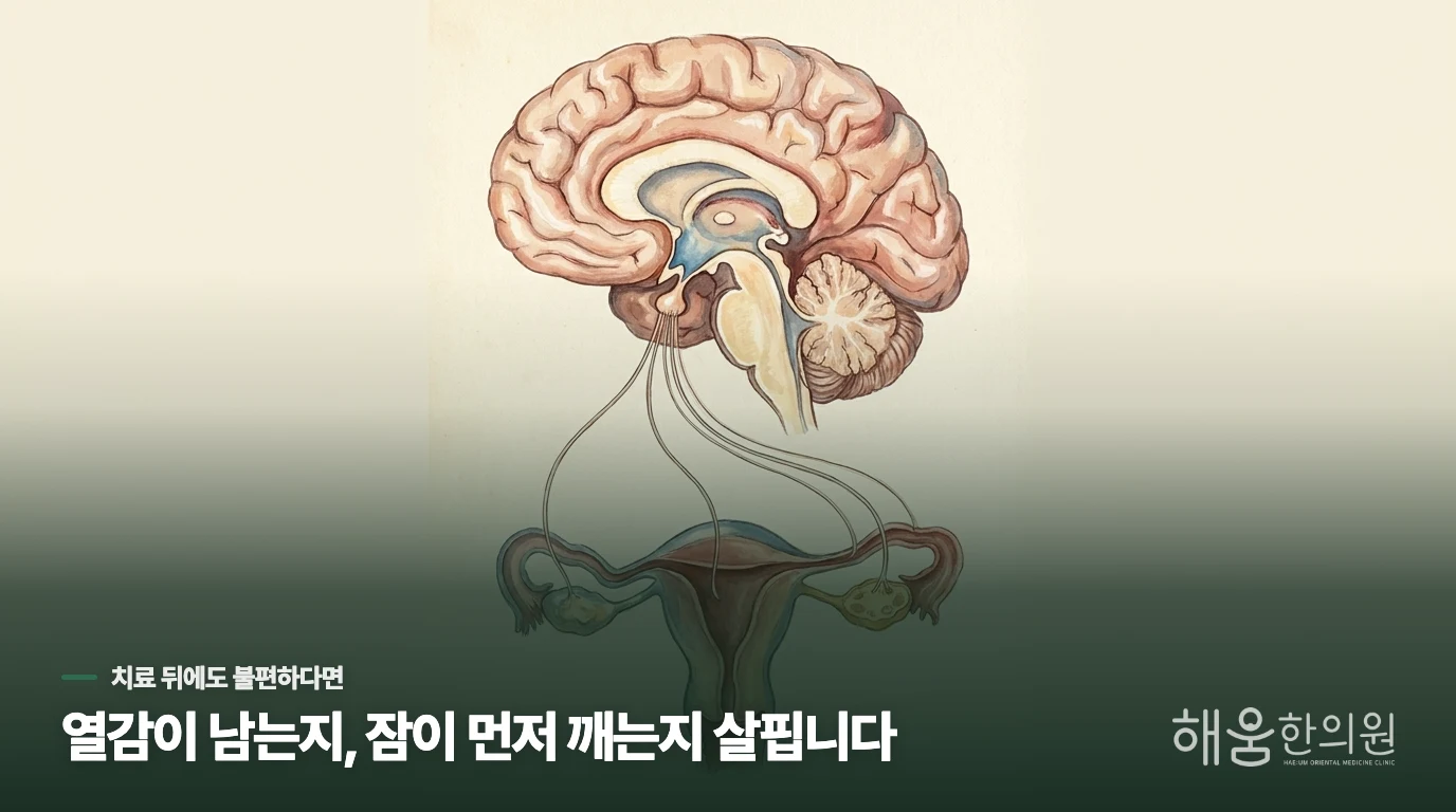 호르몬치료 중에도 밤에 덥고 잠이 깨는 이유는 무엇일까요?