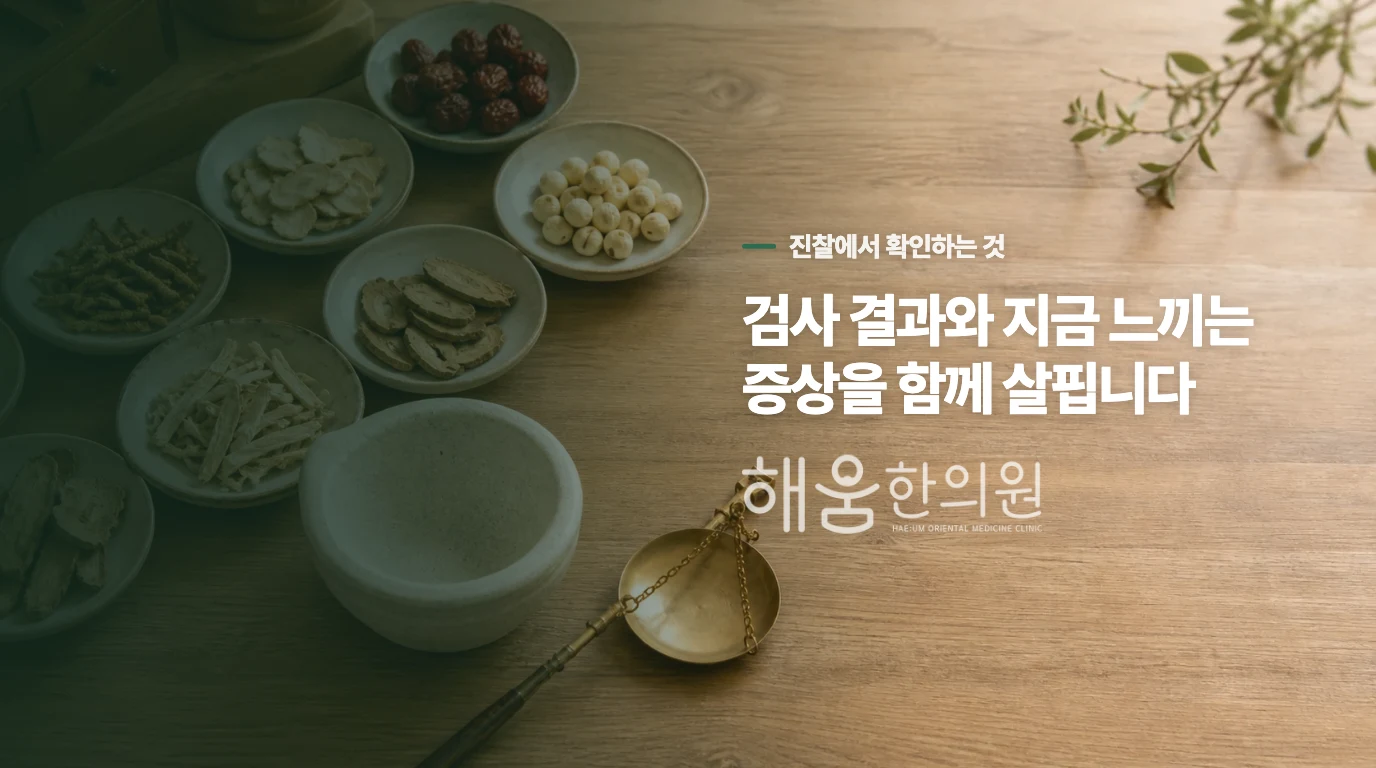 ‘먹어도 될까’보다 ‘무엇을 회복할까’를 정하면 답이 좁혀집니다