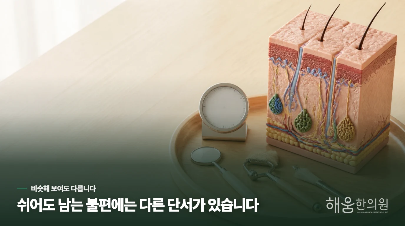 여름도 아닌데 손발에 땀이 너무 많아서 일상생활이 불편해요, 왜 이런 차이가 생길까요?