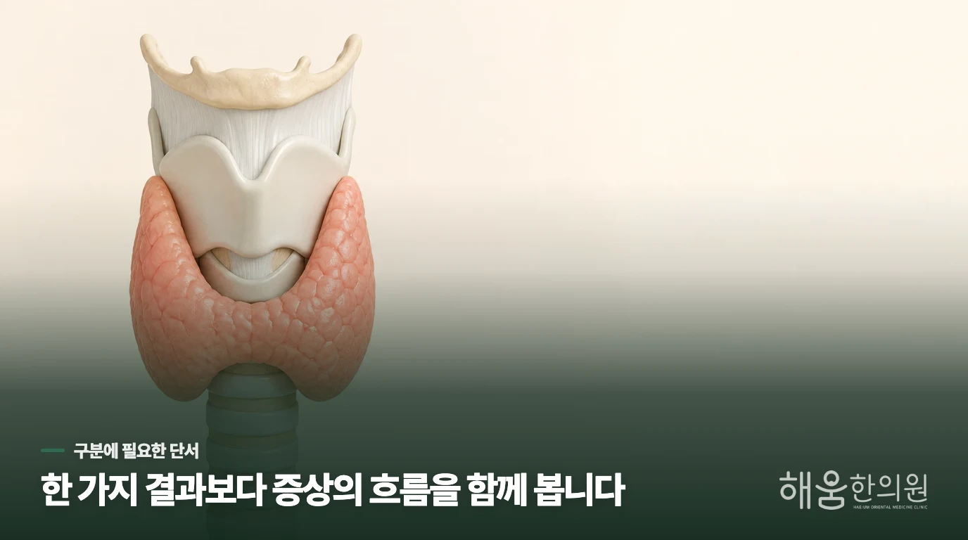 셔츠 깃을 여밀 때 목 앞이 달라 보입니다