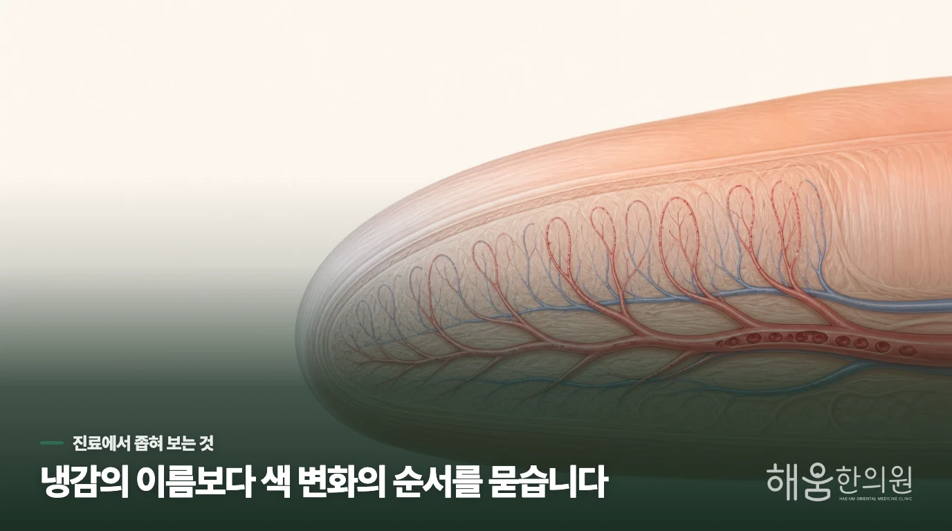 색이 바뀌는 순서가 진료의 실마리가 됩니다