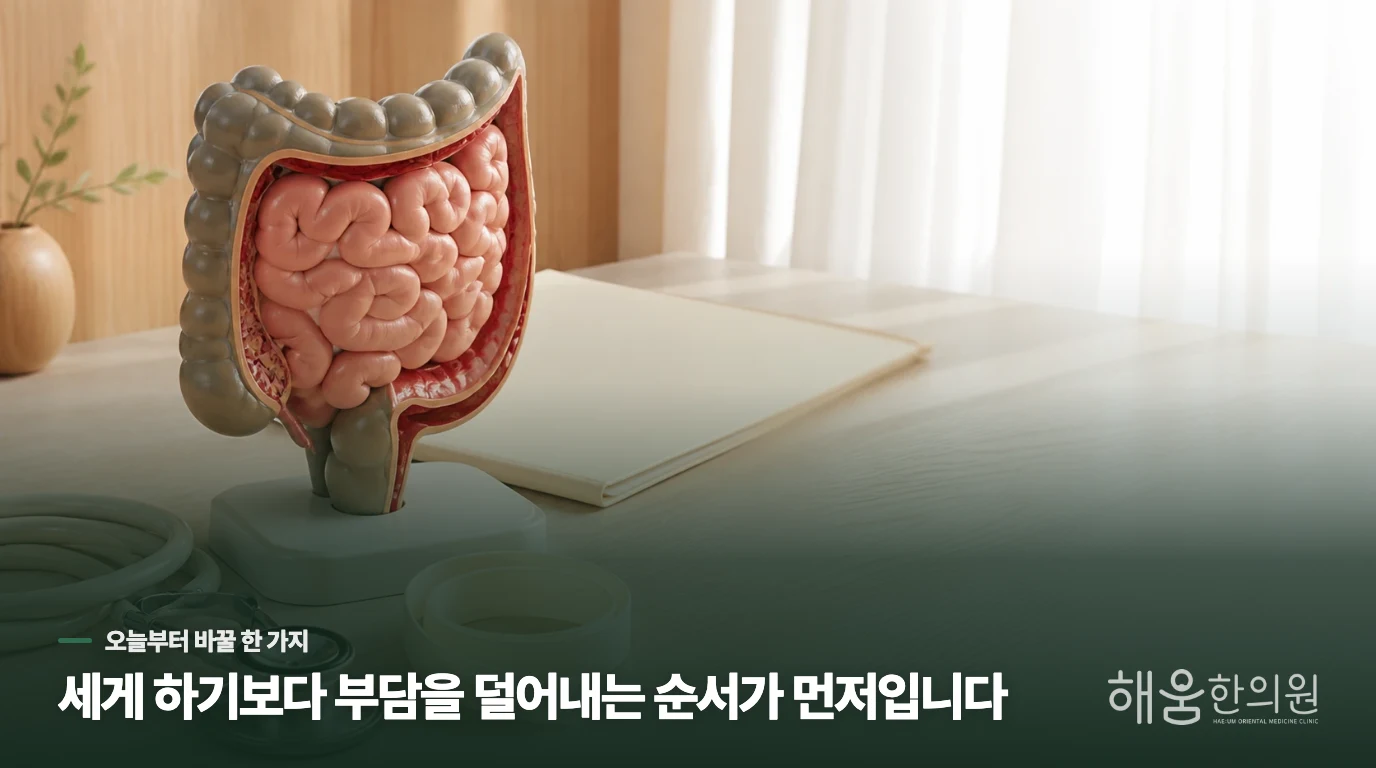 식단 조절만으로 해결되지 않는 복부 불편감의 이유