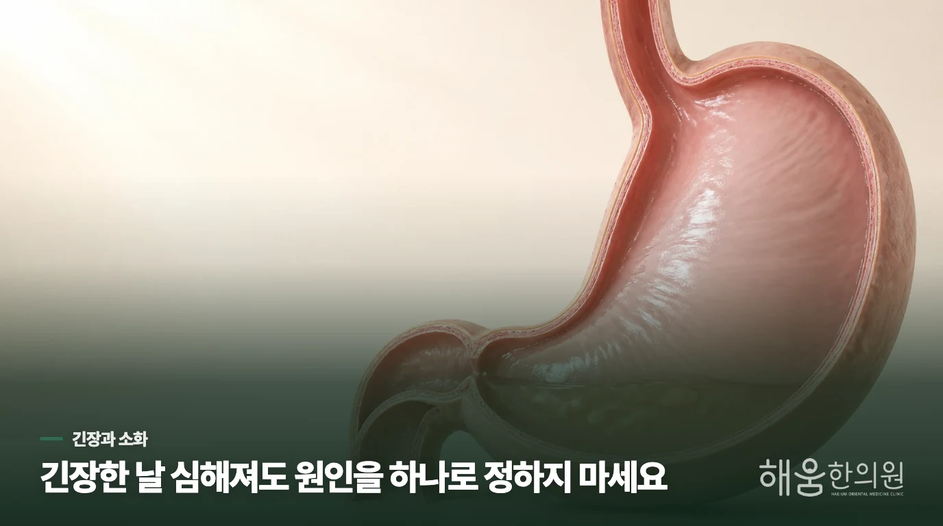 긴장한 날 심해져도 원인을 하나로 정하지 않는 이유