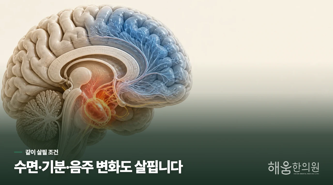 분노가 커지는 날에는 수면·음주·기분을 왜 같이 볼까요?