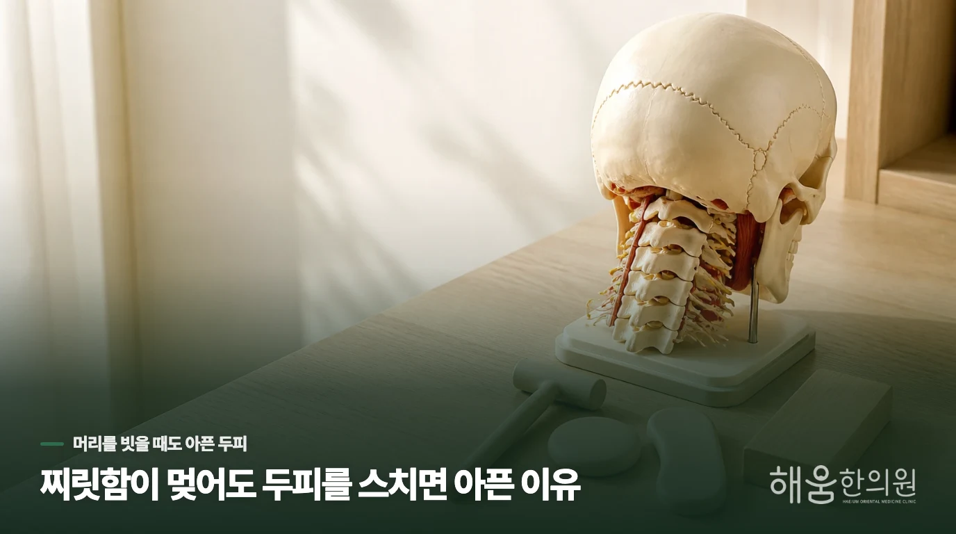 찌릿함이 멎어도 두피를 스치면 아픈 이유
