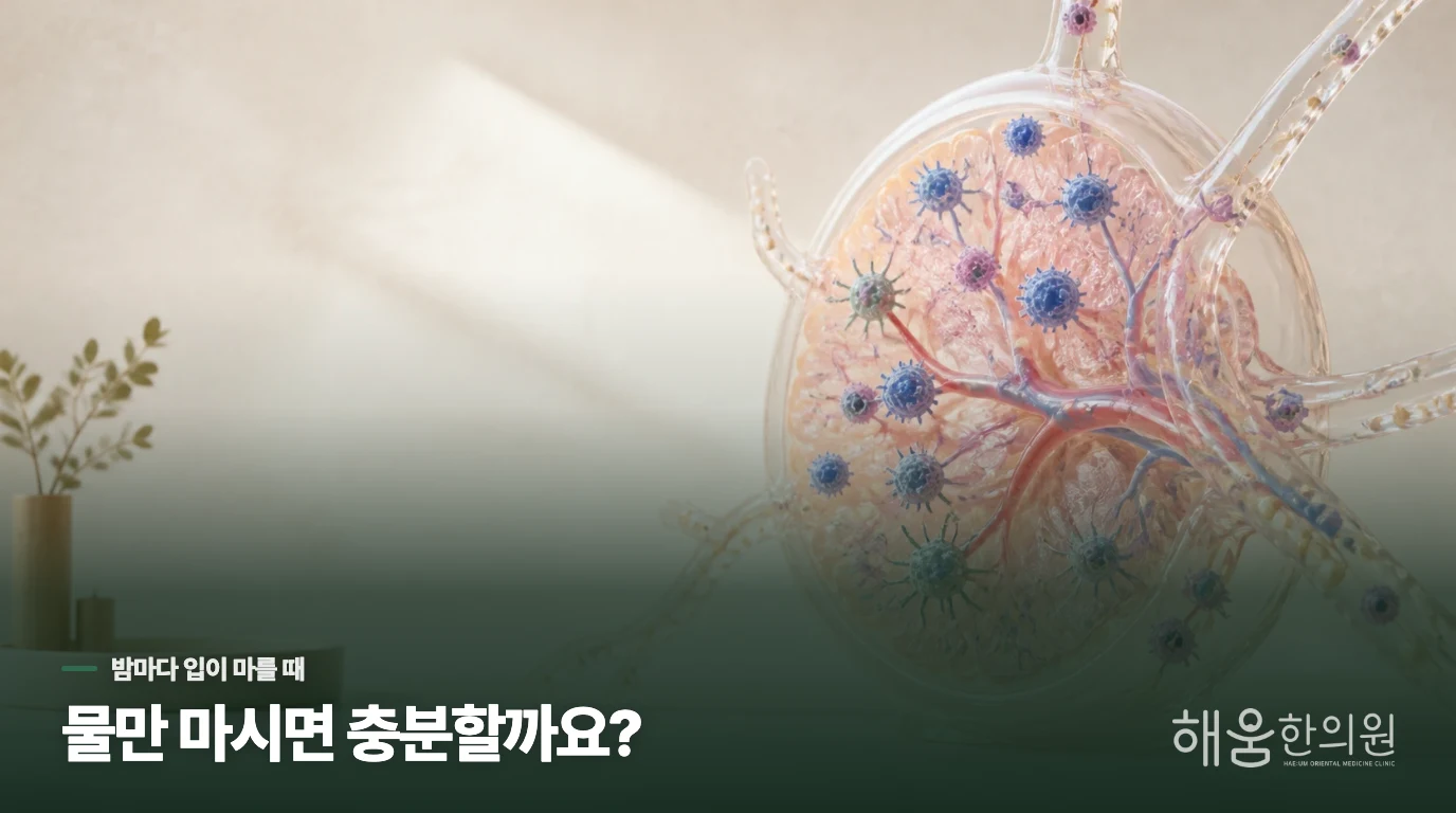 밤에 물을 마셔도 입이 다시 마르는 이유