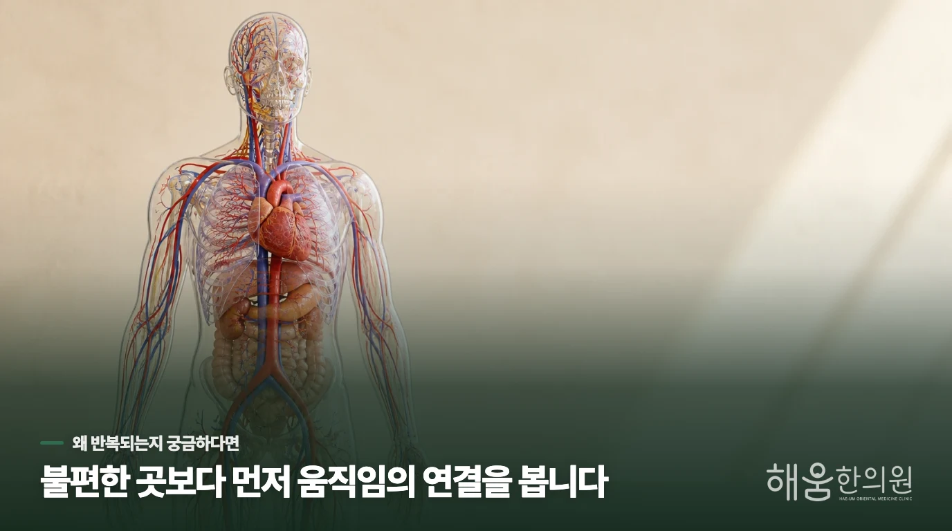 식후에 쏟아지는 잠이 단순한 피로가 아닌 이유입니다.